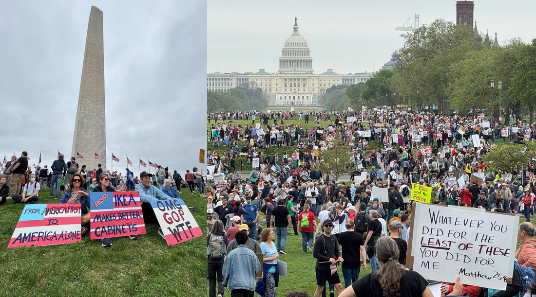 Hands Off Demonstration Washington DC